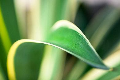 《古惑狼》《小龙斯派罗》开发商宣布独立